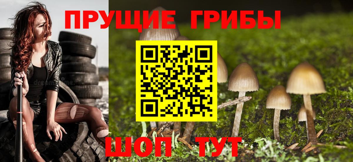 Артёмовский  Галлюциногенные грибы мицелий  Галлюциногенные грибы прущие грибы  Вход с VPN 