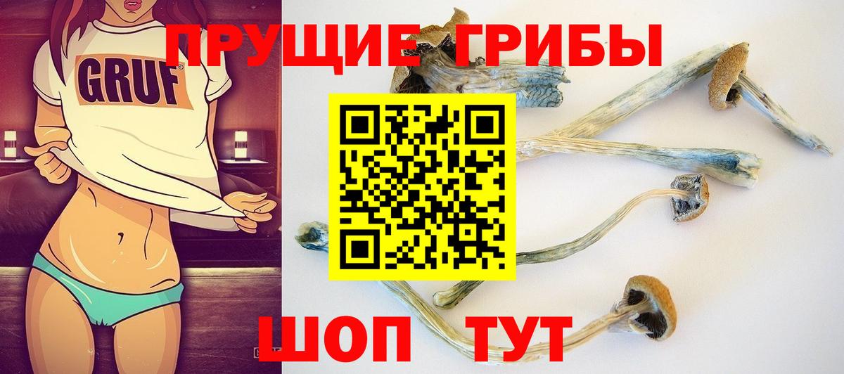 Псилоцибиновые грибы прущие грибы Артёмовский